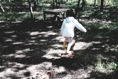 IMG-20190529-WA0020