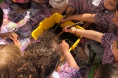 IMG-20190529-WA0023