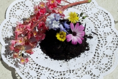 IMG-20190529-WA0024