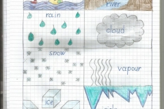 The water cycle