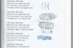 The water cycle